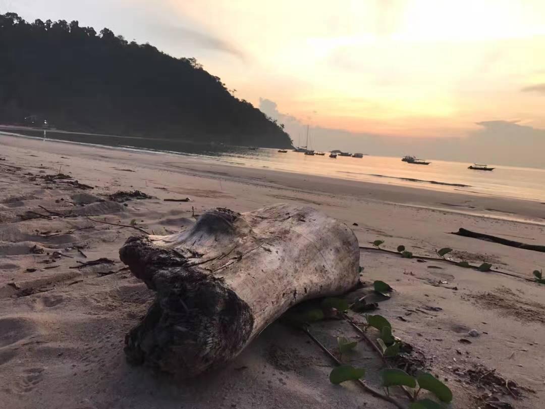 Juara Bay Resort Tioman island Εξωτερικό φωτογραφία